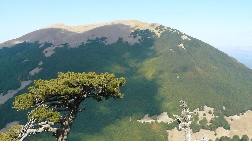 Il Belvedere Civita Eksteriør bilde