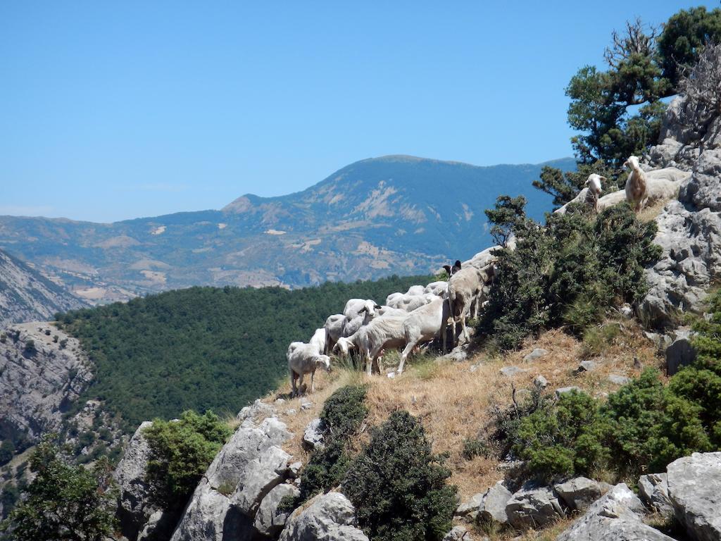 Il Belvedere Civita Eksteriør bilde